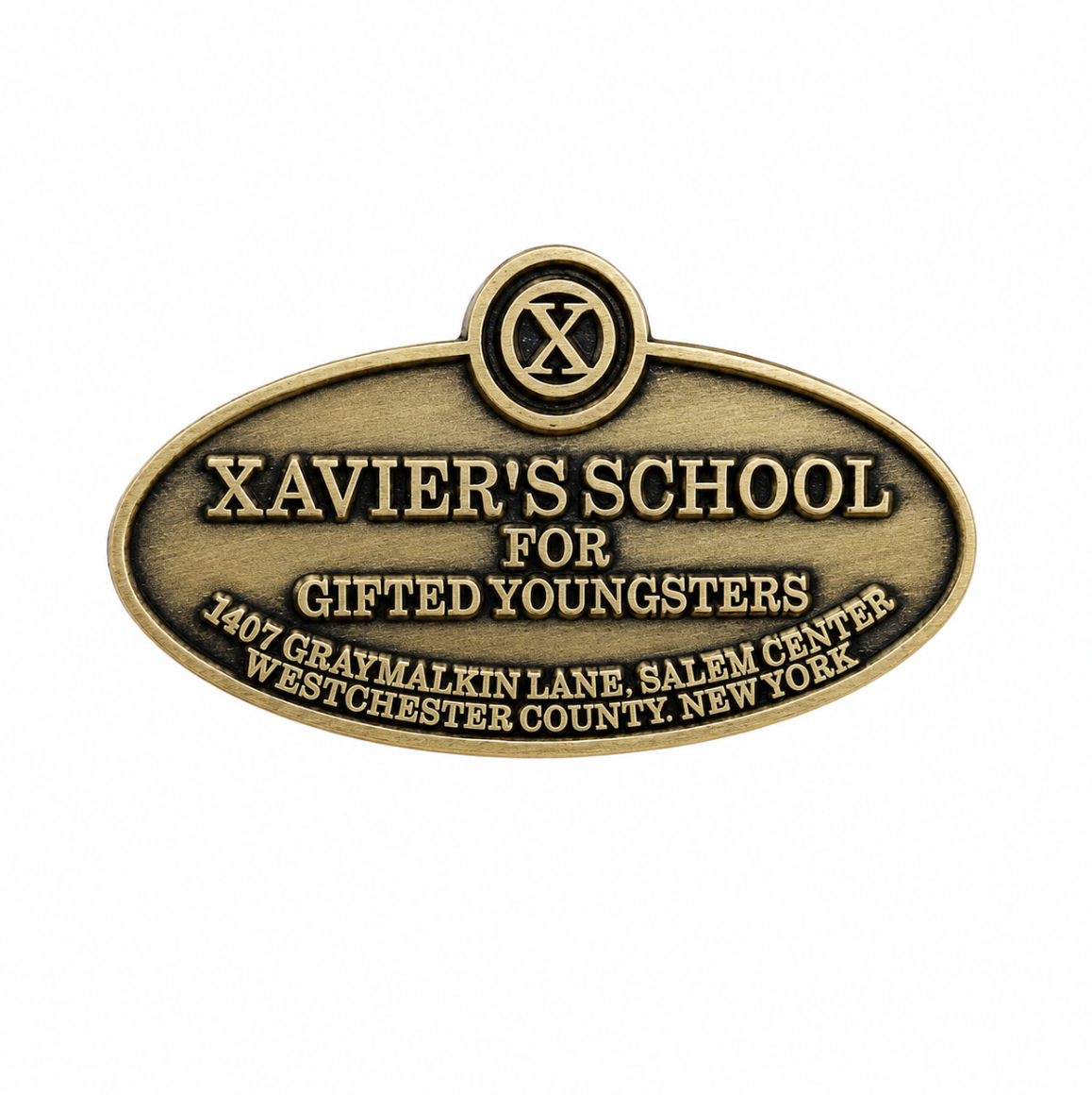 Pin de la Escuela de Xavier