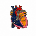 Pin de Corazón Anatómico