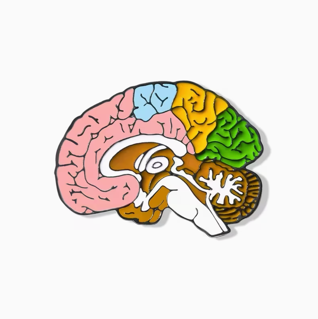Pin cerebral