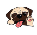 Pin de pug