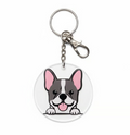 Boston Terrier